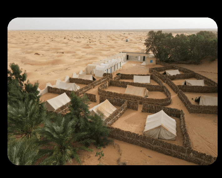 Sahara Dunes Exploration