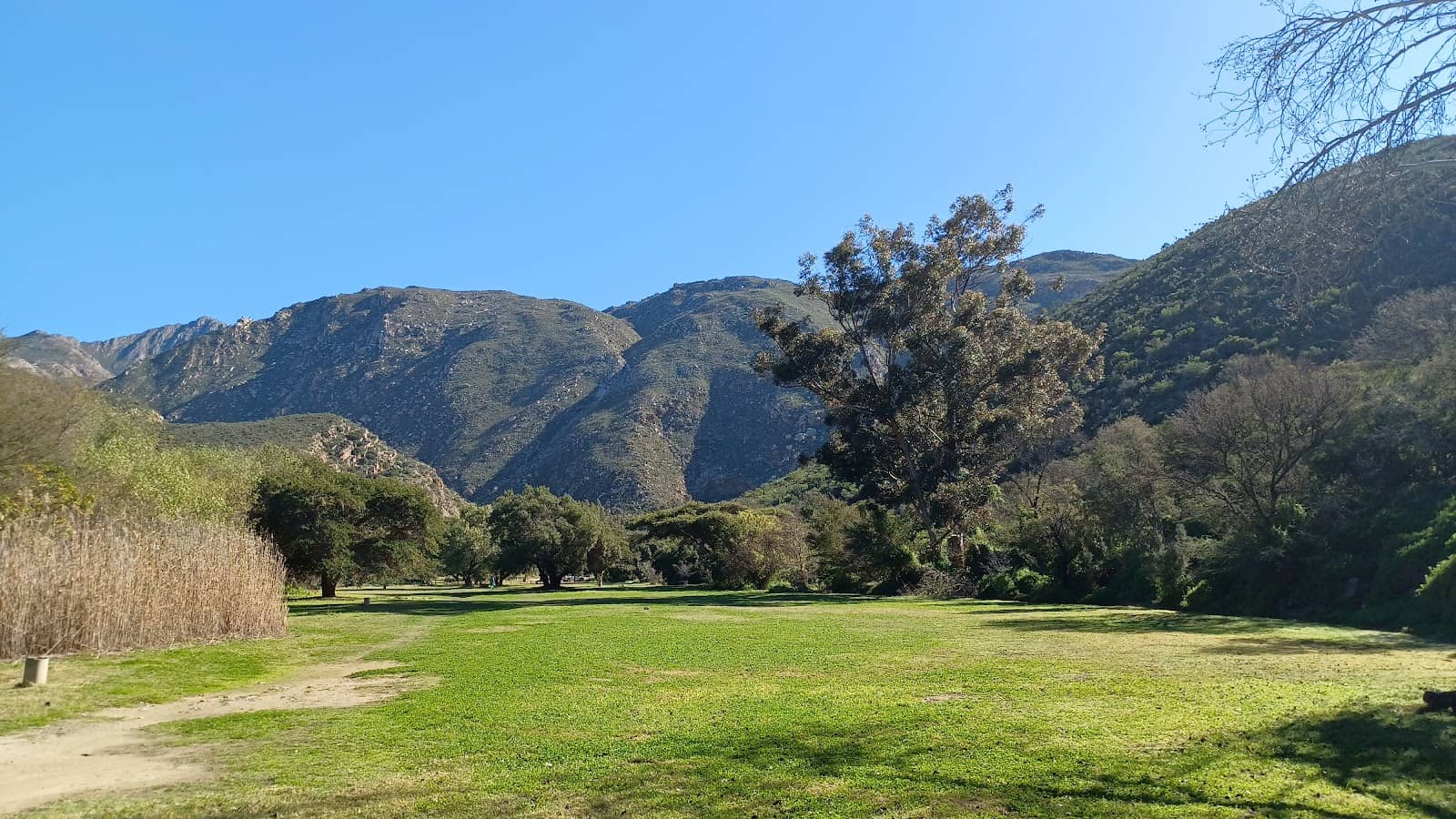 Tranquil Nature Walk