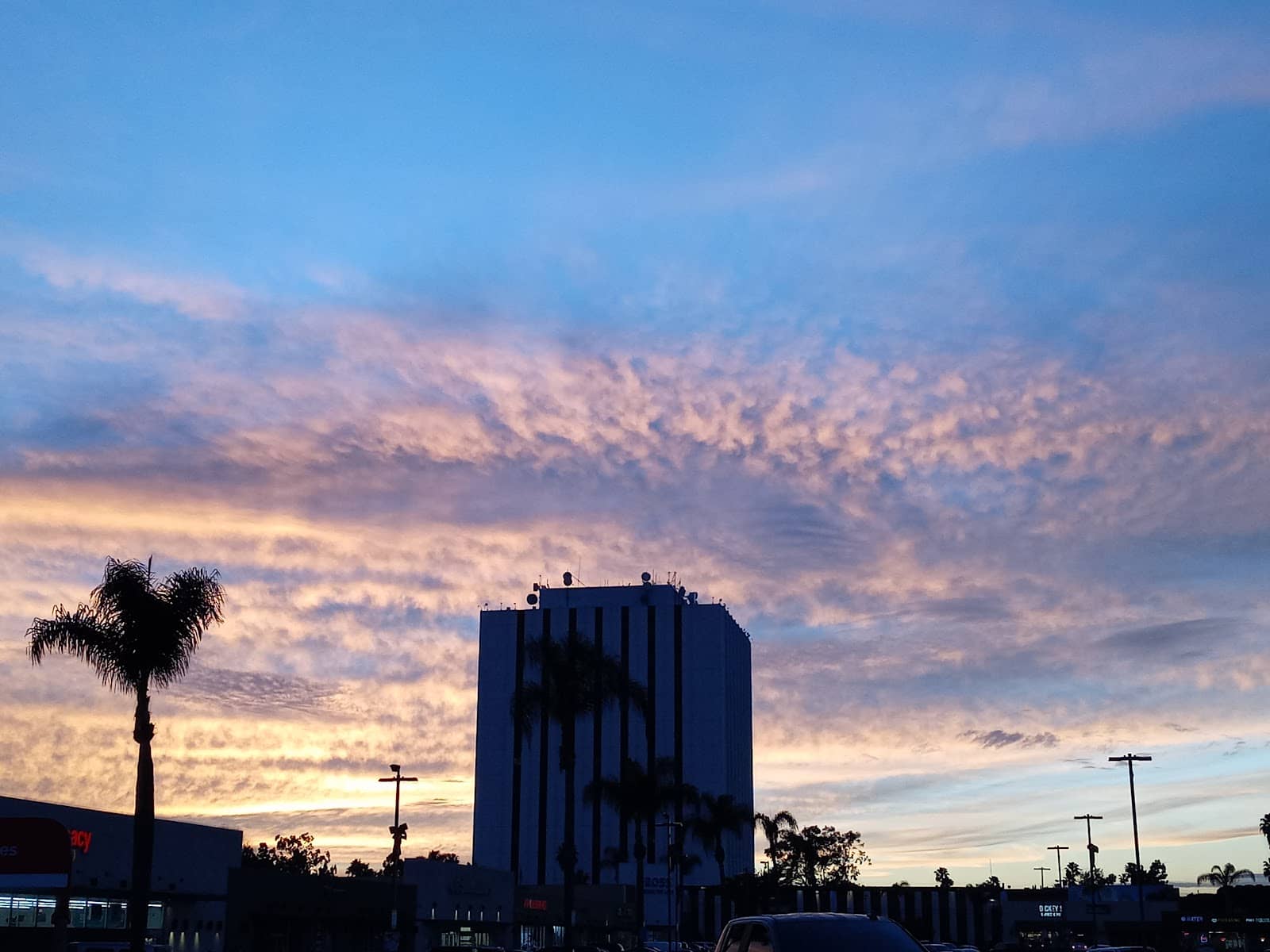 Vertical photo