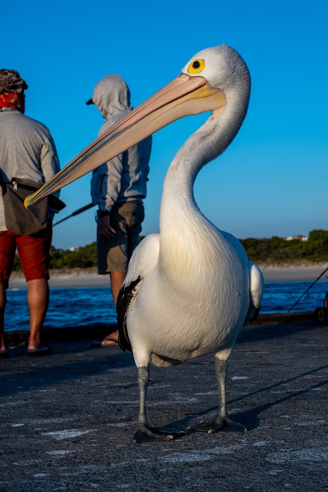Woodman Point Ammo Jetty - Image 1