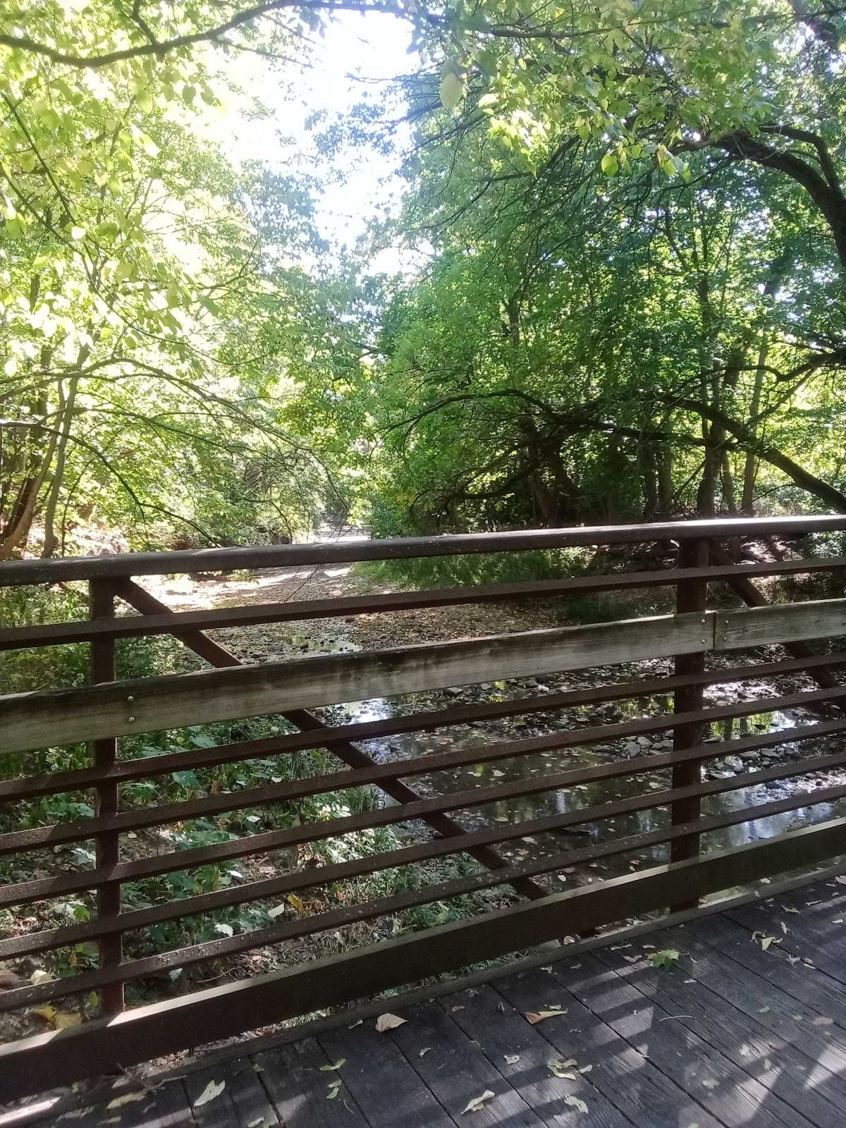 Pleasant Run Trail - Image 1