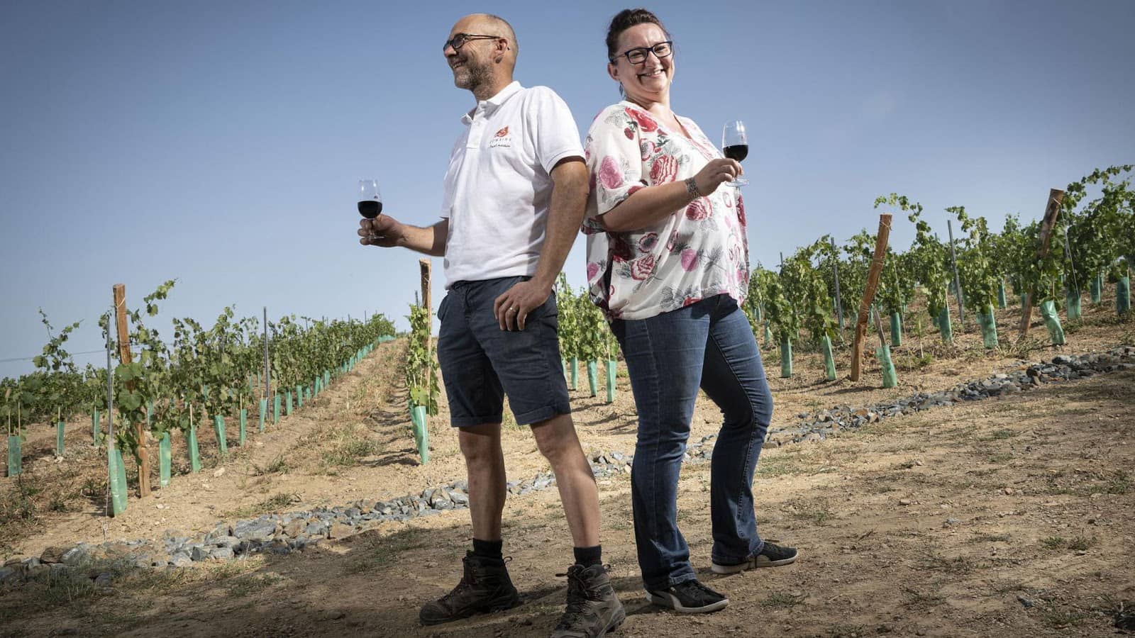 Wine Tasting Experiences