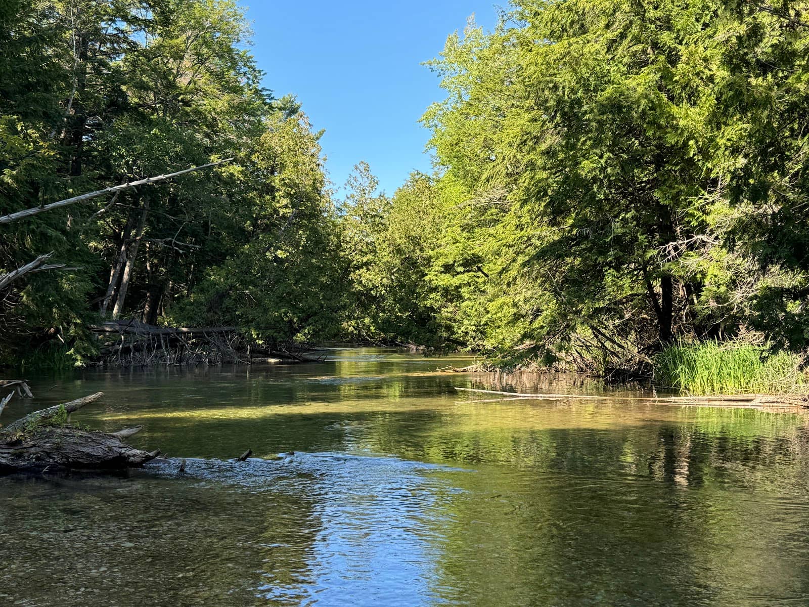 Hunter Springs Park