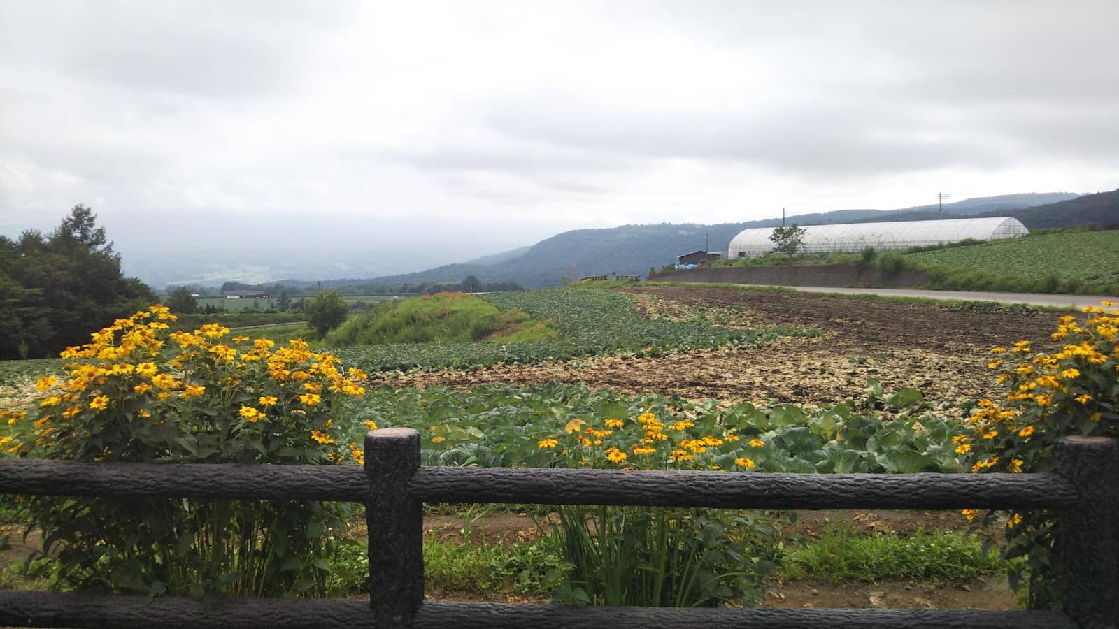 Volcanic Caldera Exploration