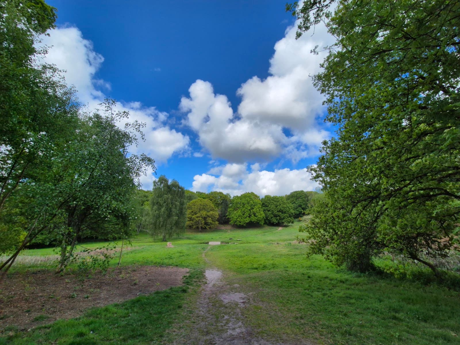 Spout Hills Holt - Image 1