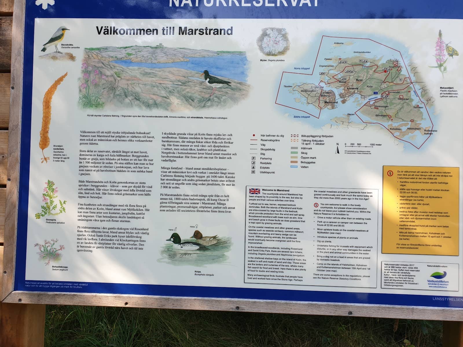 Coastal Walks and Views