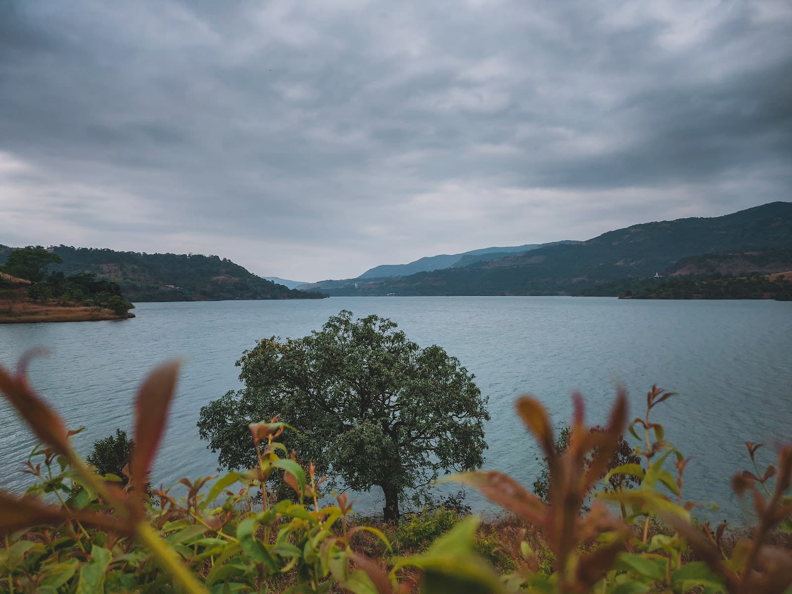 Varasgaon Dam - Image 1