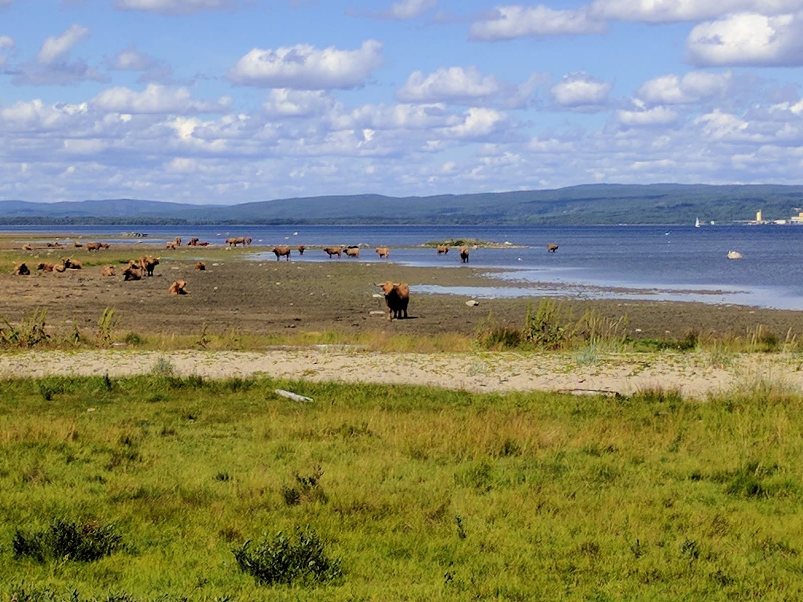 Stornäset Nature Reserve - Image 1