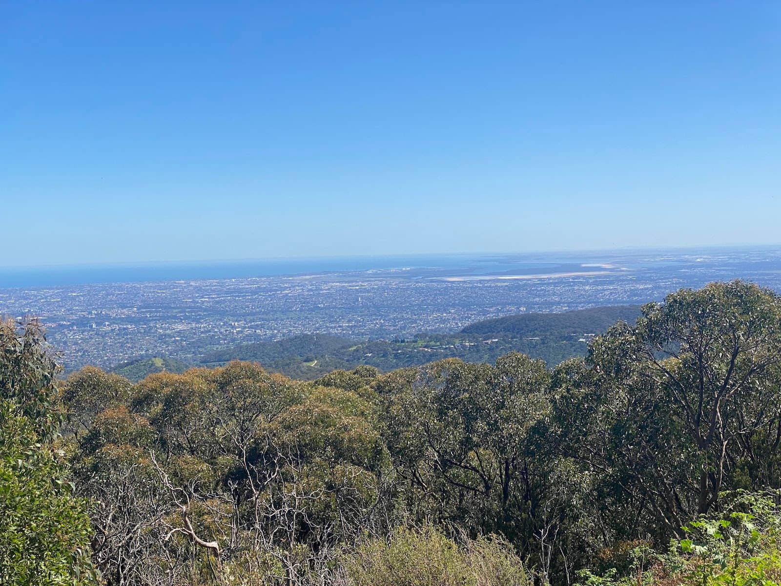 Mount Lofty Summit Cafe