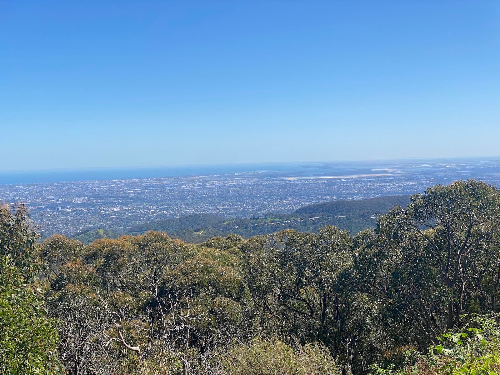 Mount Lofty Summit - Image 1