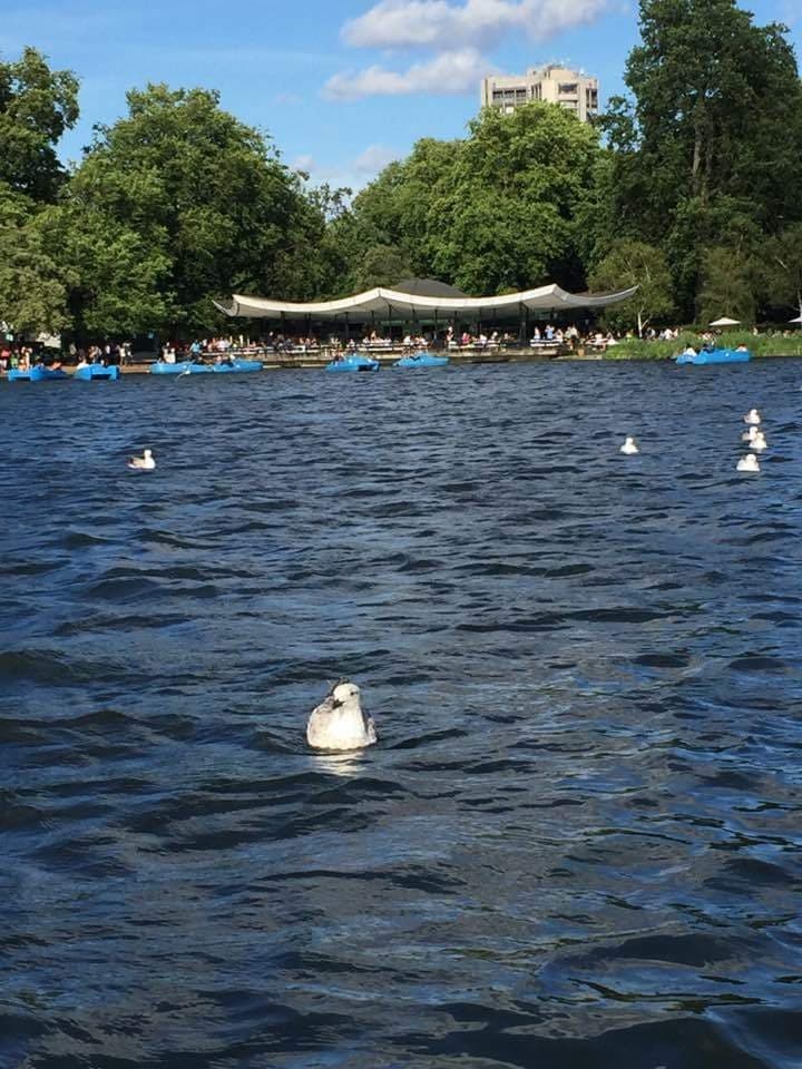 Gidea Park Exhibition Estate - Image 1