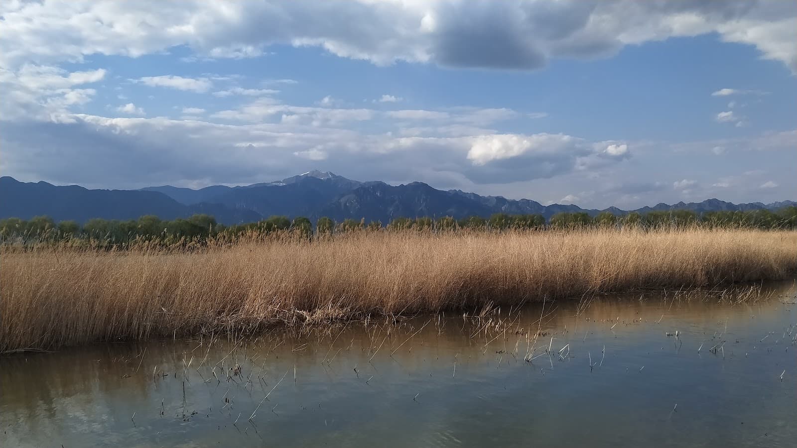 Nanyuan Forest Wetland Park - Image 1