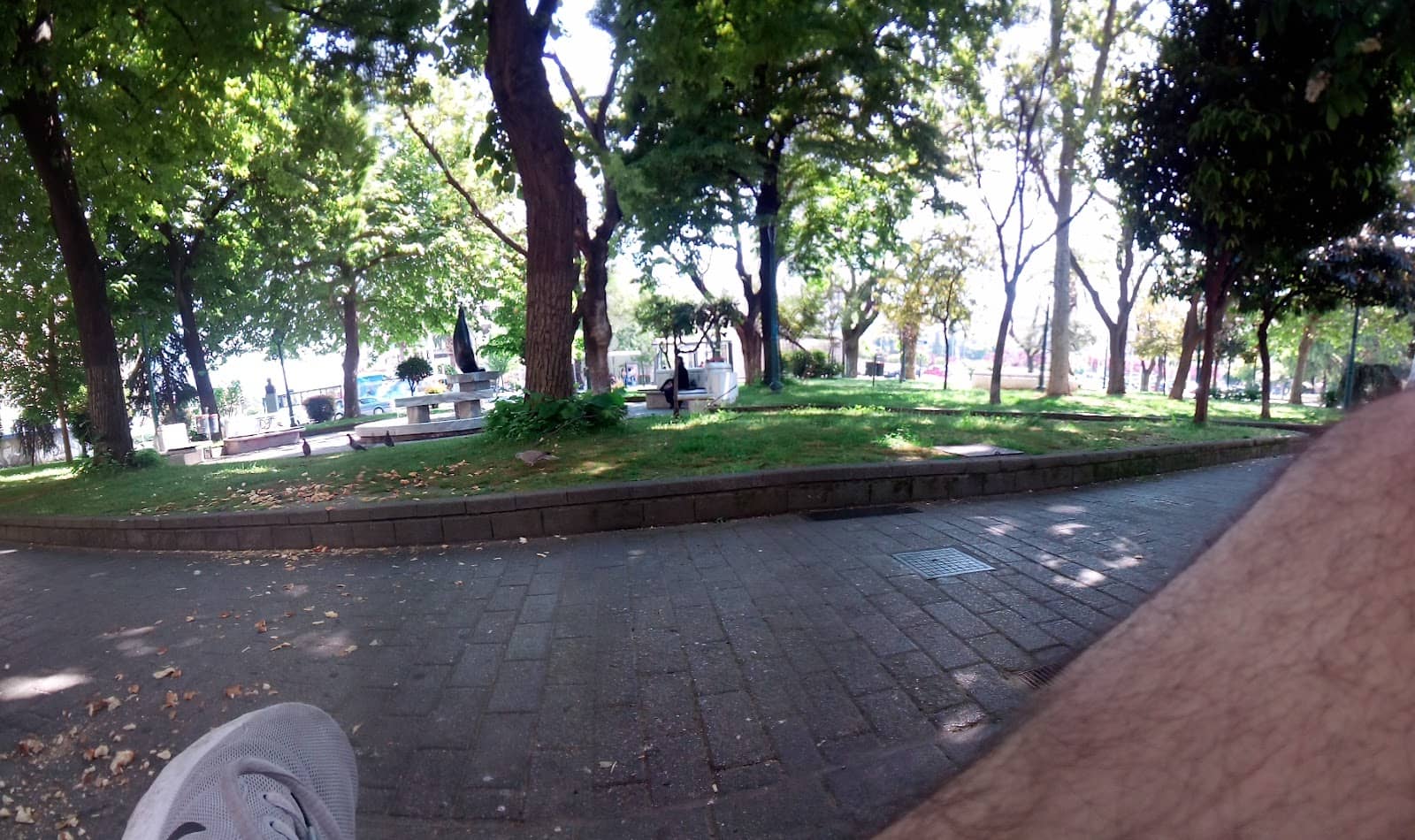 Public Art Installations