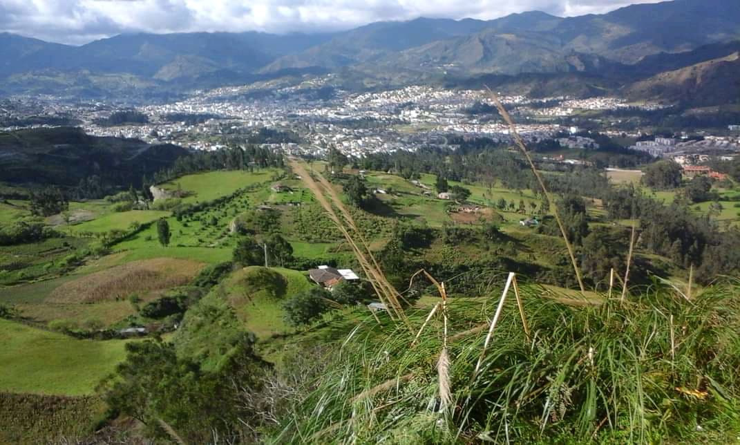 Punzara Alto - Image 1