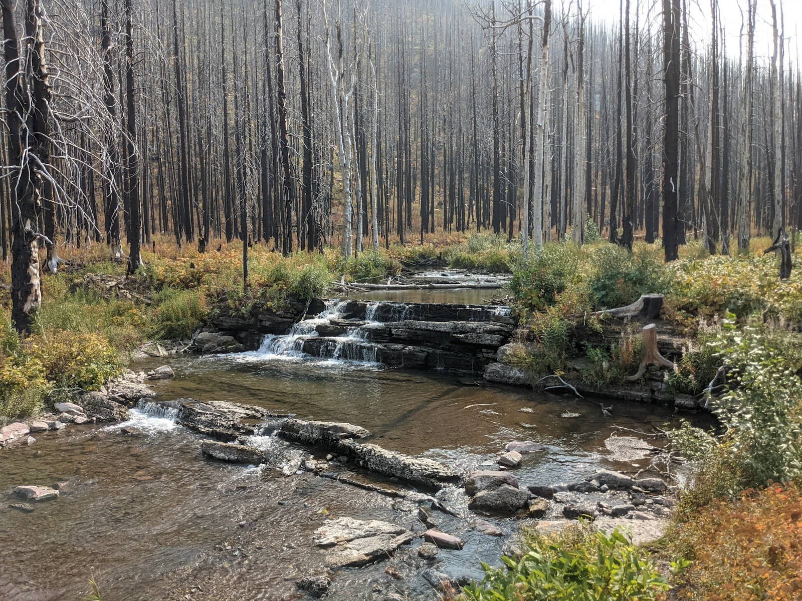 Wildlife Spotting Opportunities