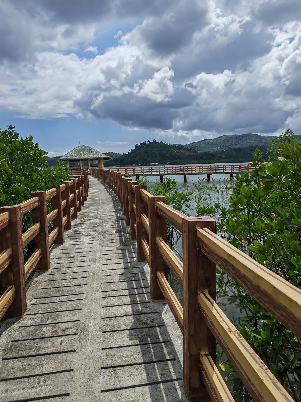 Pawa Mangrove Park - Image 1