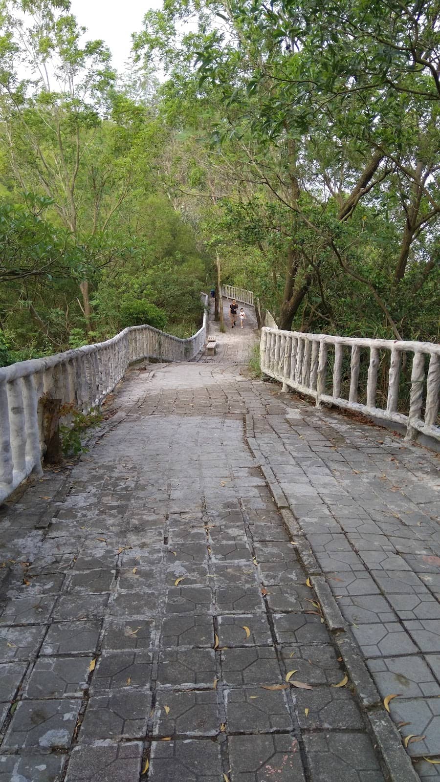 Vertical photo
