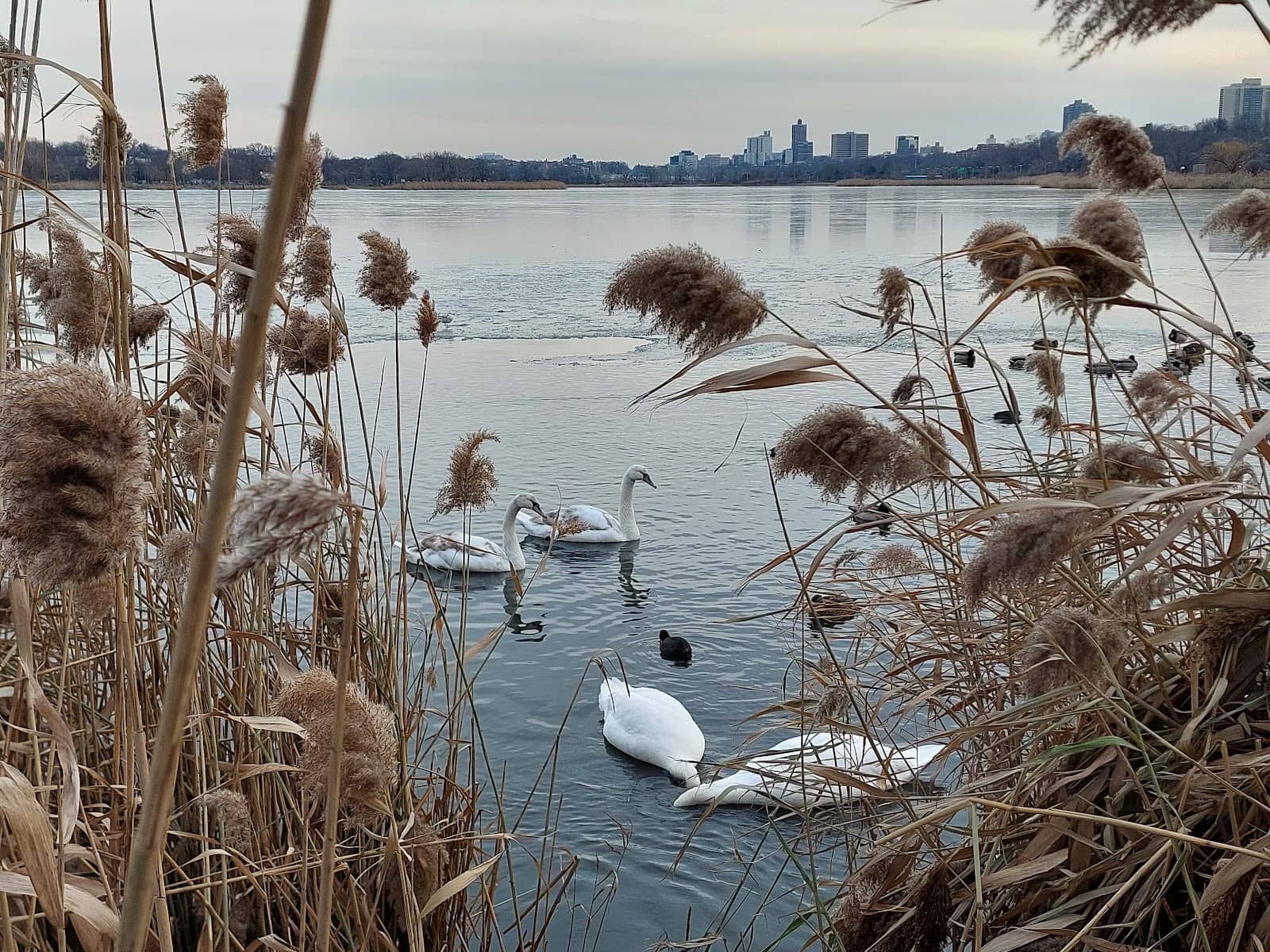 Meadow Lake Park