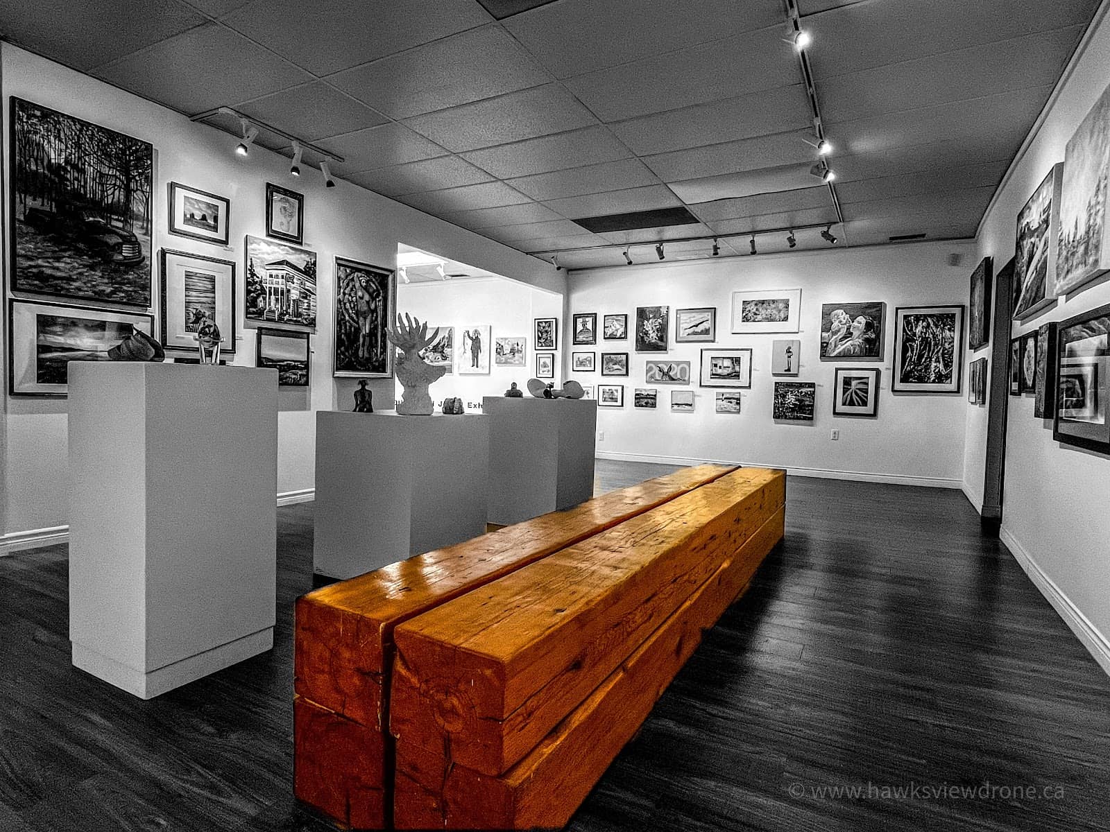 Local Artist Showcases