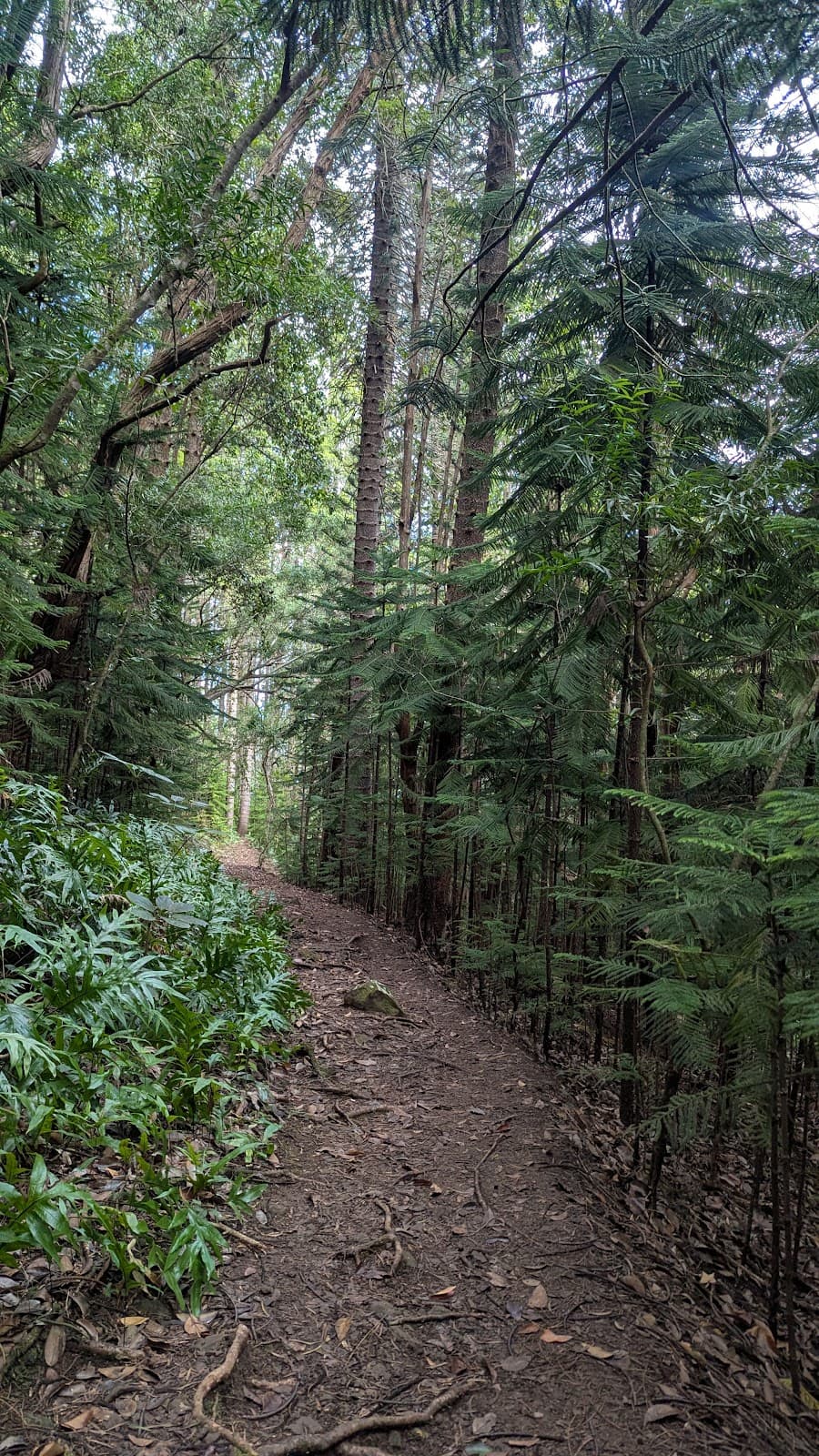 Hau'ula Loop Trail - Image 1