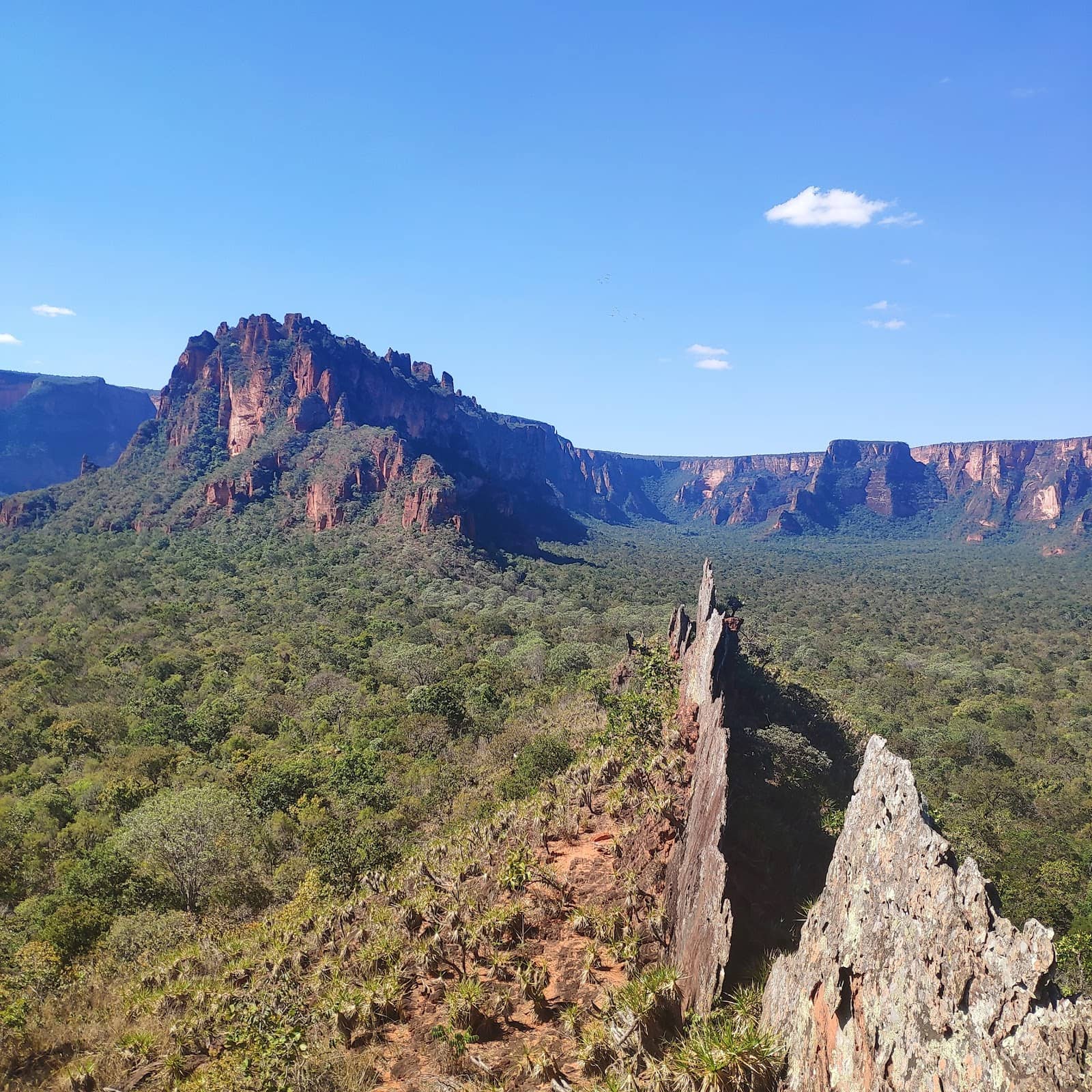 Trilha do Vale do Rio Claro