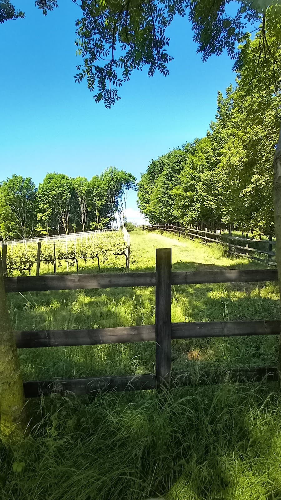 Montello Hills & WWI sites - Image 1