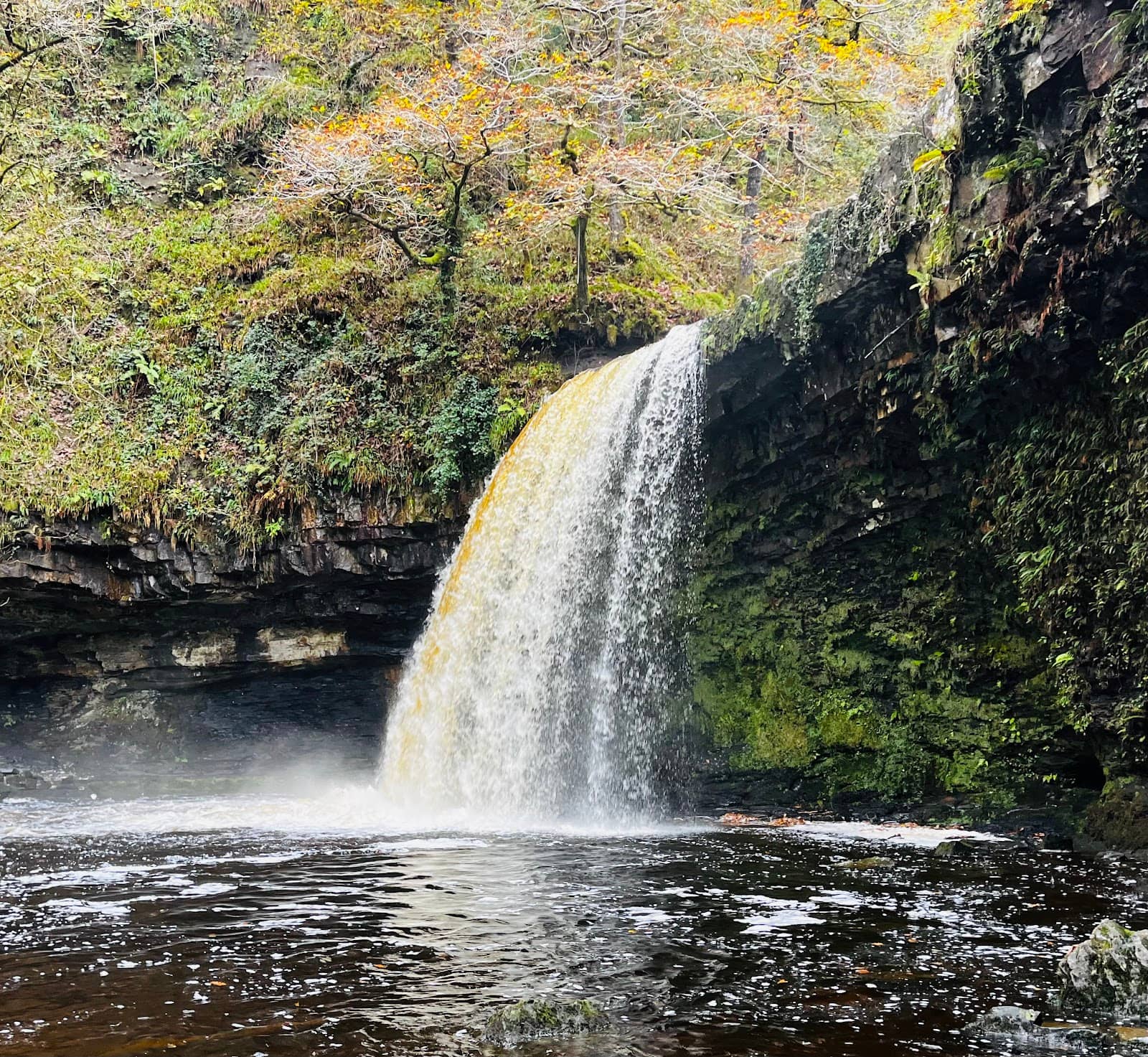 Wild Swimming Opportunities