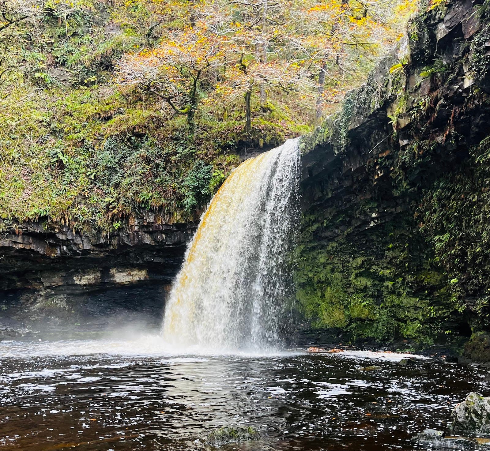 Sgwd Gwladus (Lady Falls) Brecon Beacons - Image 1