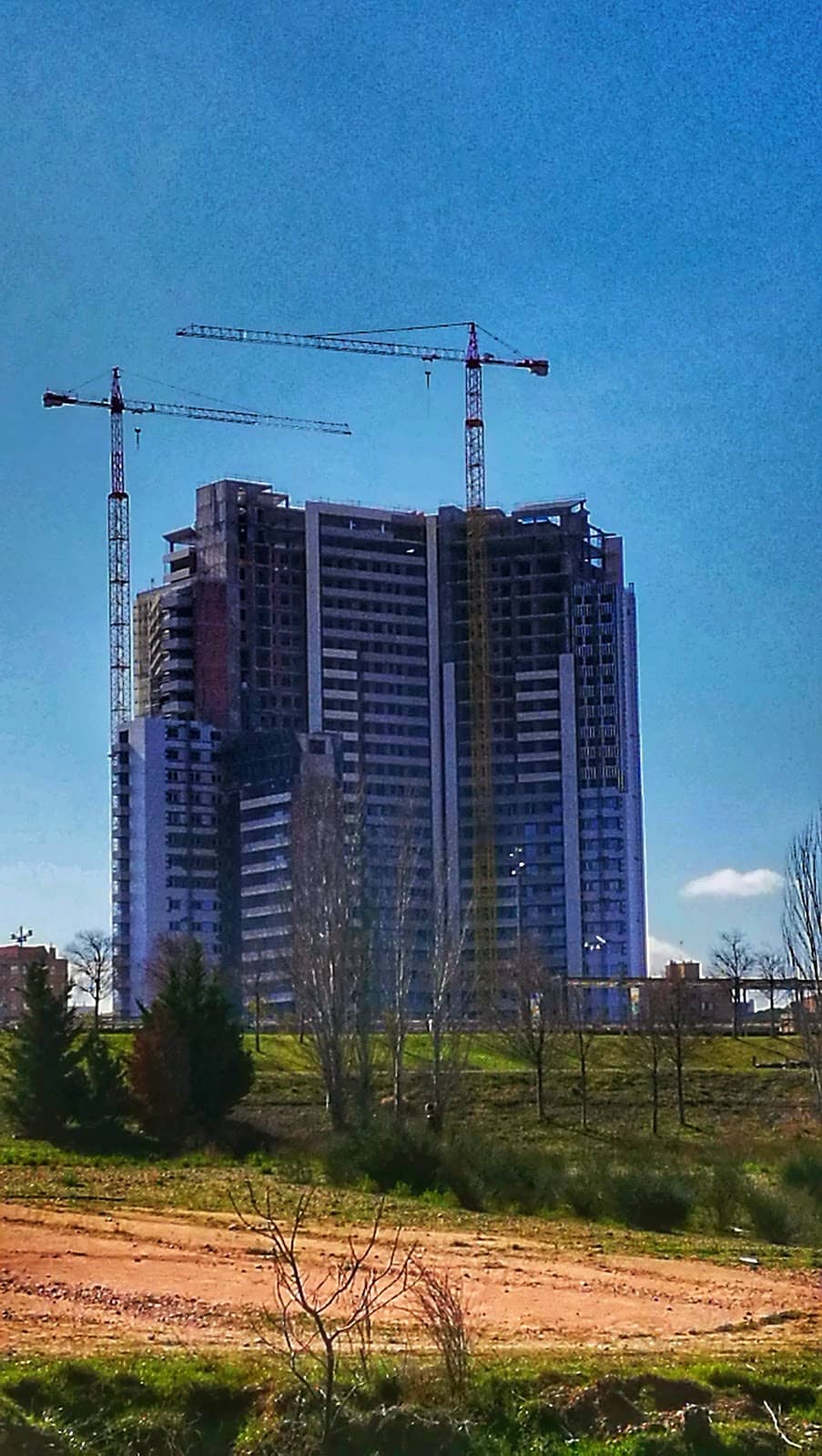 Vertical photo