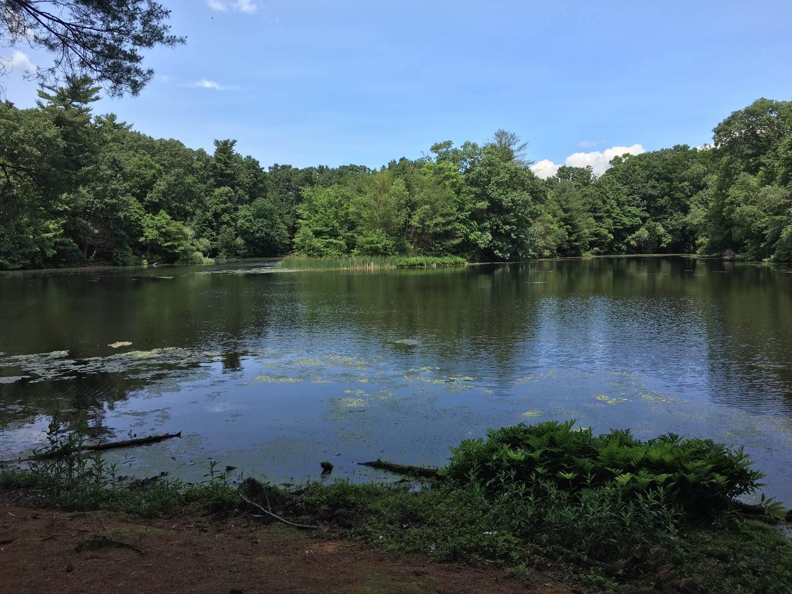 Van Horn Park - Image 1