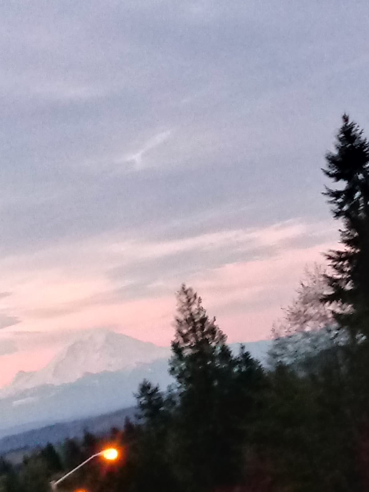 Renton Highlands - Image 1