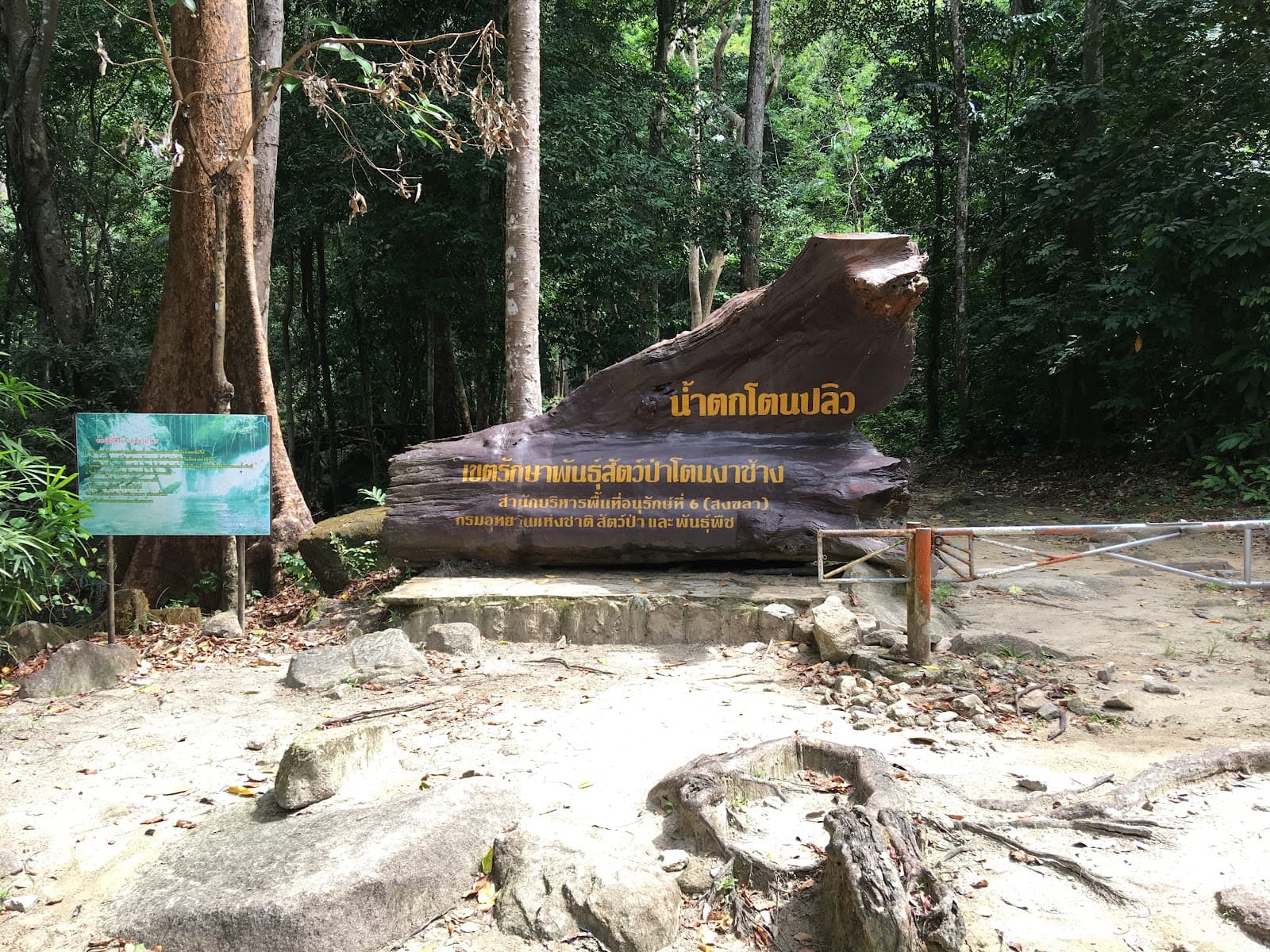 Tone Plio Waterfall - Image 1