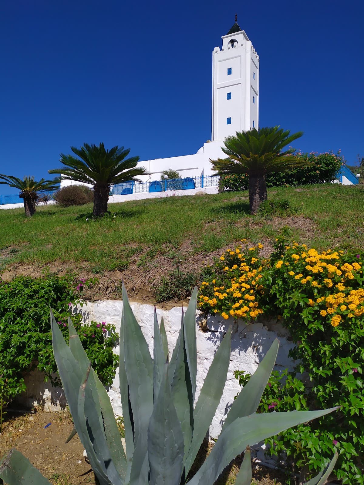 Sidi Bou Said - Image 1