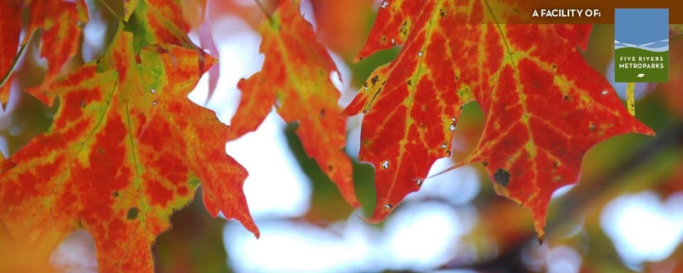 Huffman MetroPark Dayton - Image 1