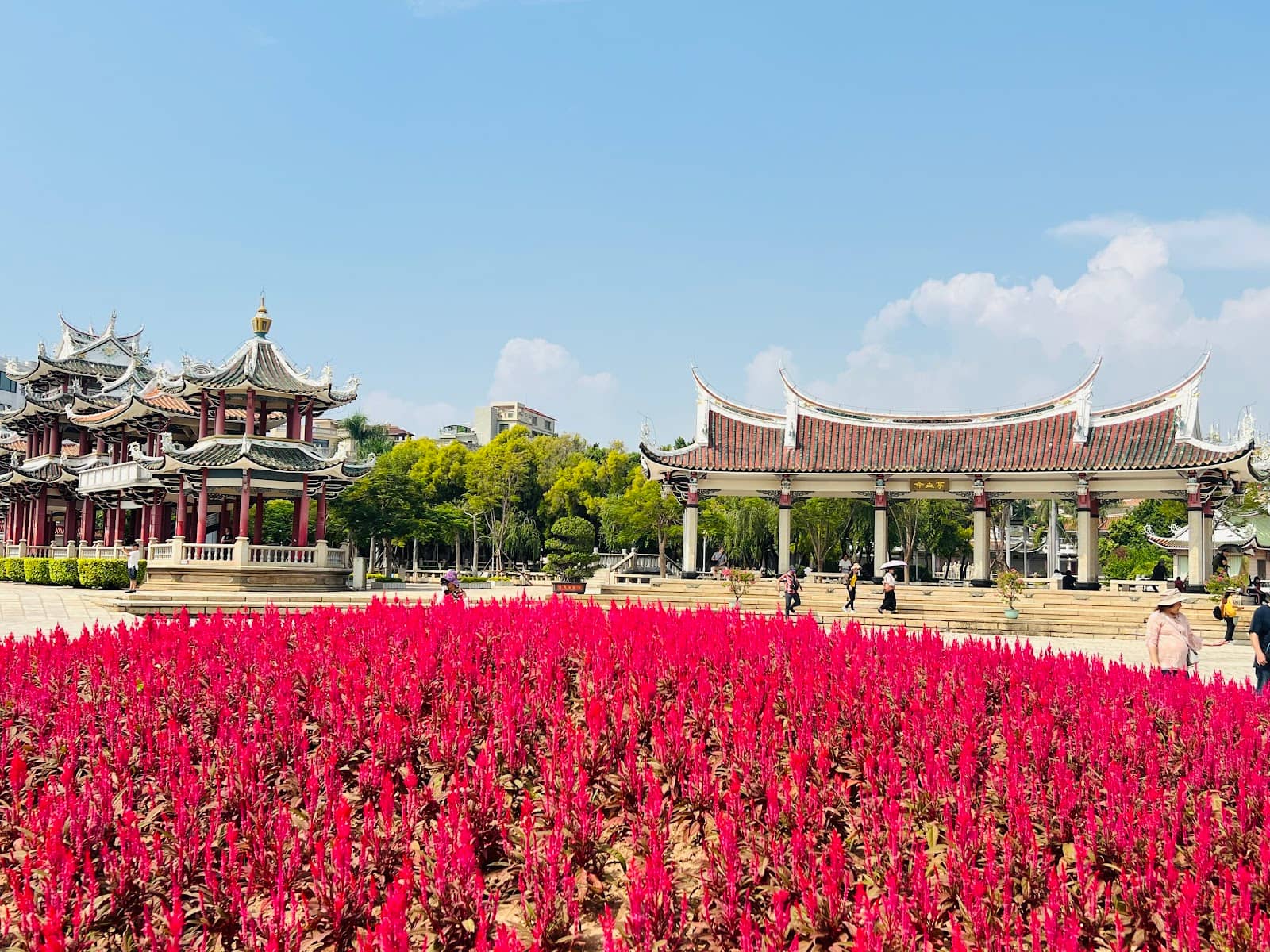 Expansive Memorial Park