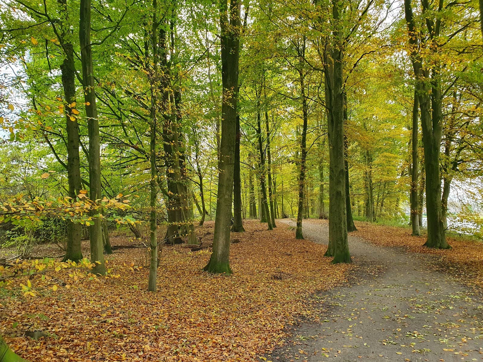 Picturesque Water Features