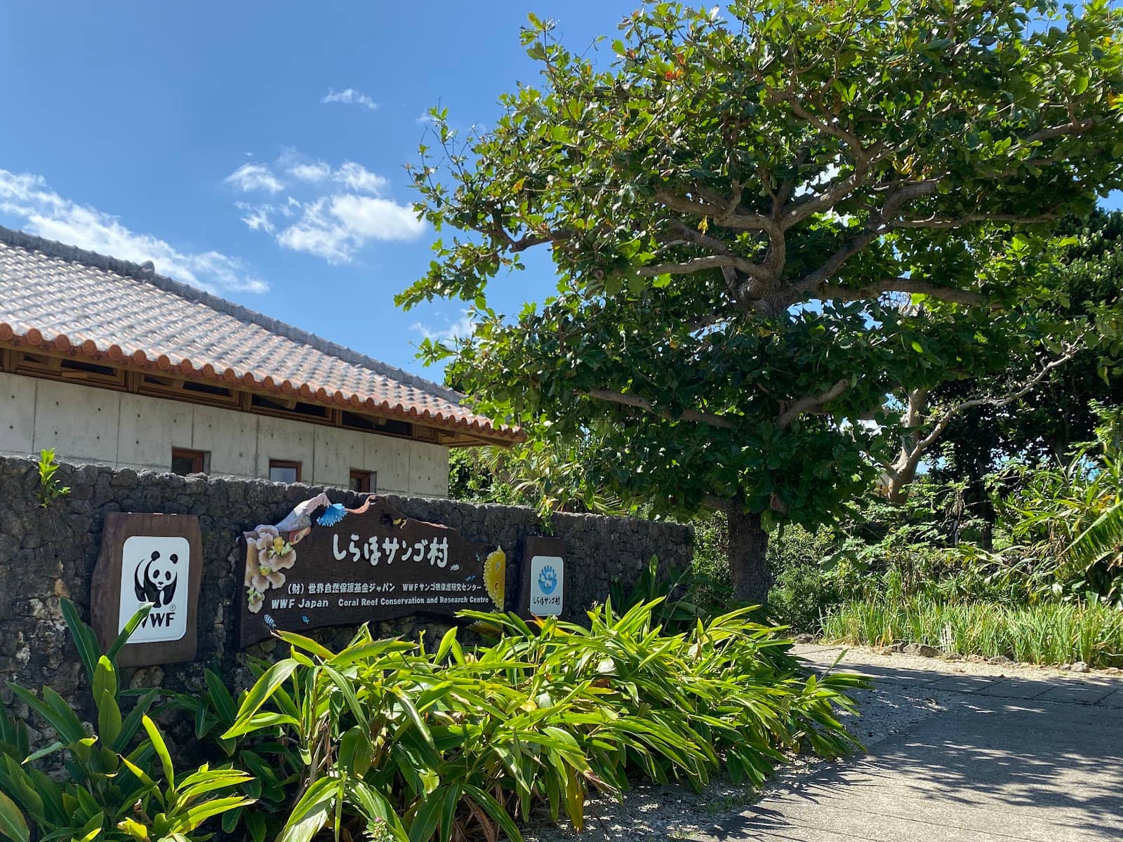 Shiraho Village Sunday Market