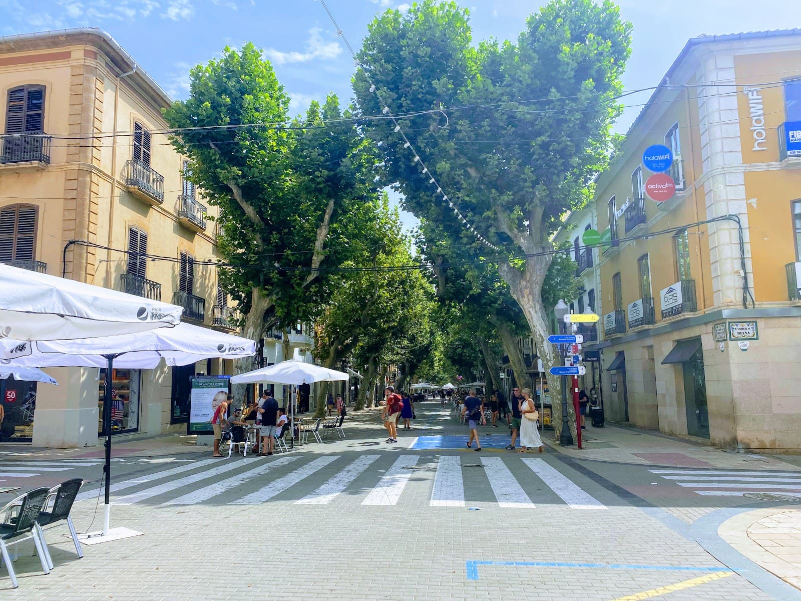 Marqués de Campo - Image 1