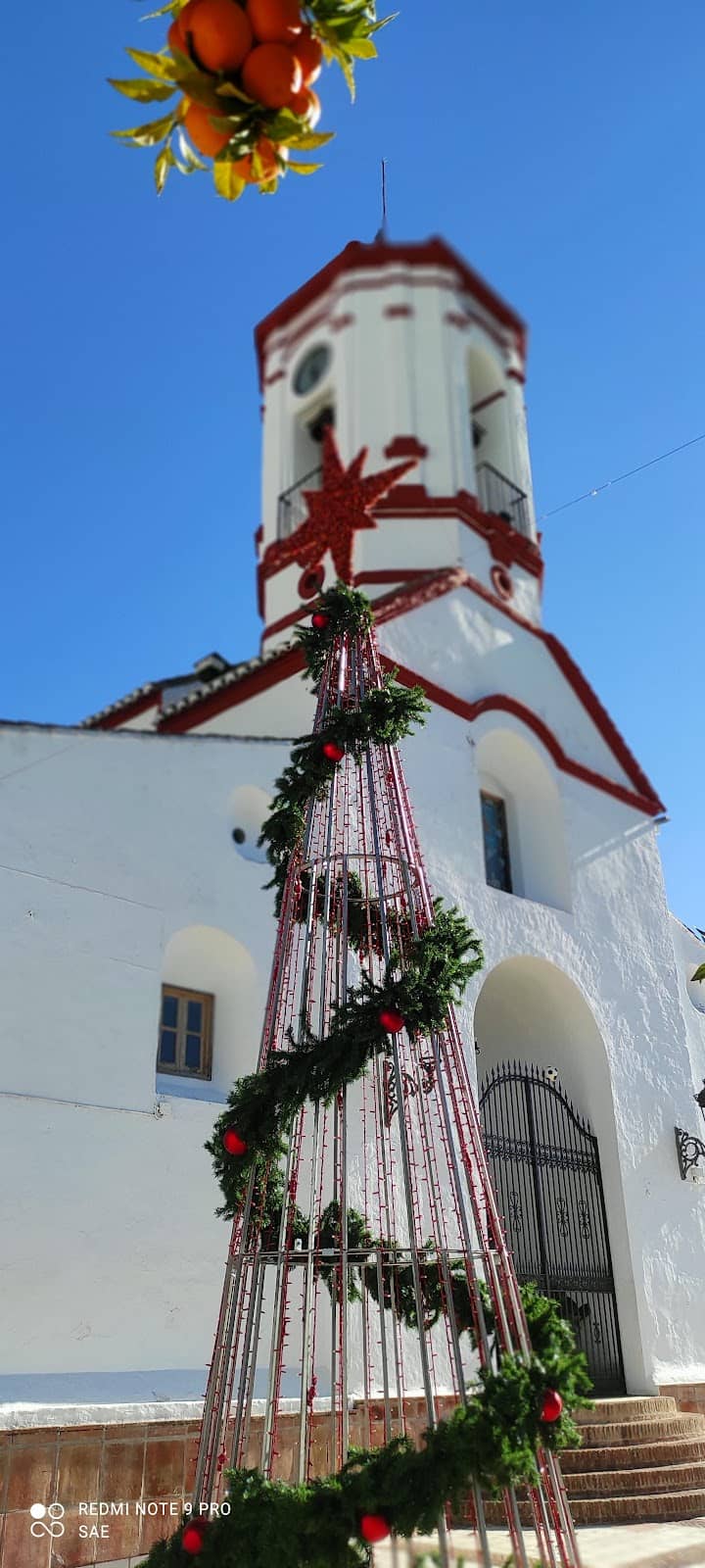 Museum of Contemporary Art