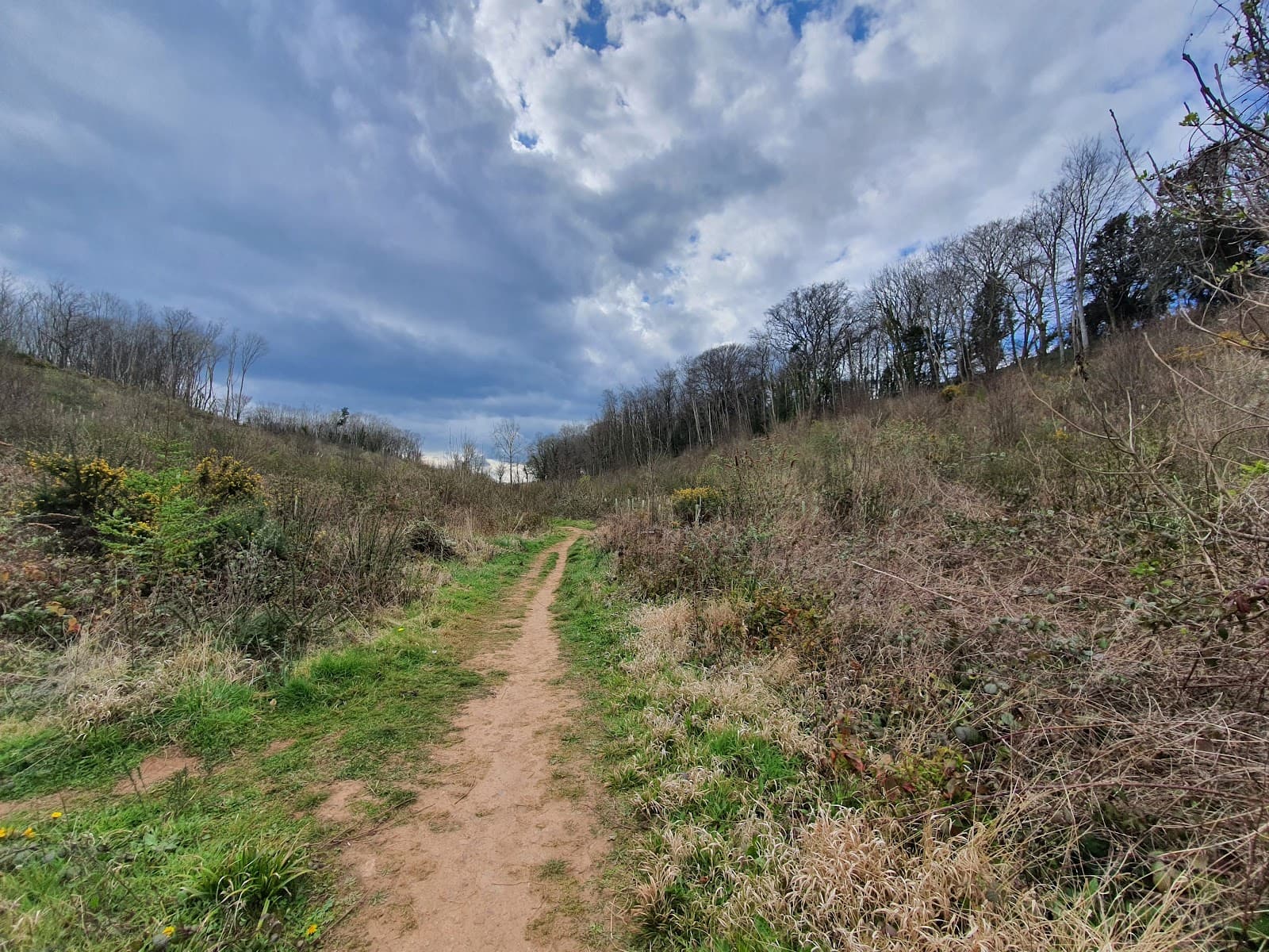 Churston Woods - Image 1