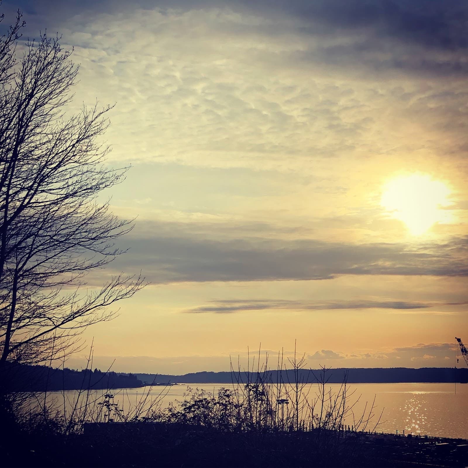 Port Gardner neighborhood - Image 1