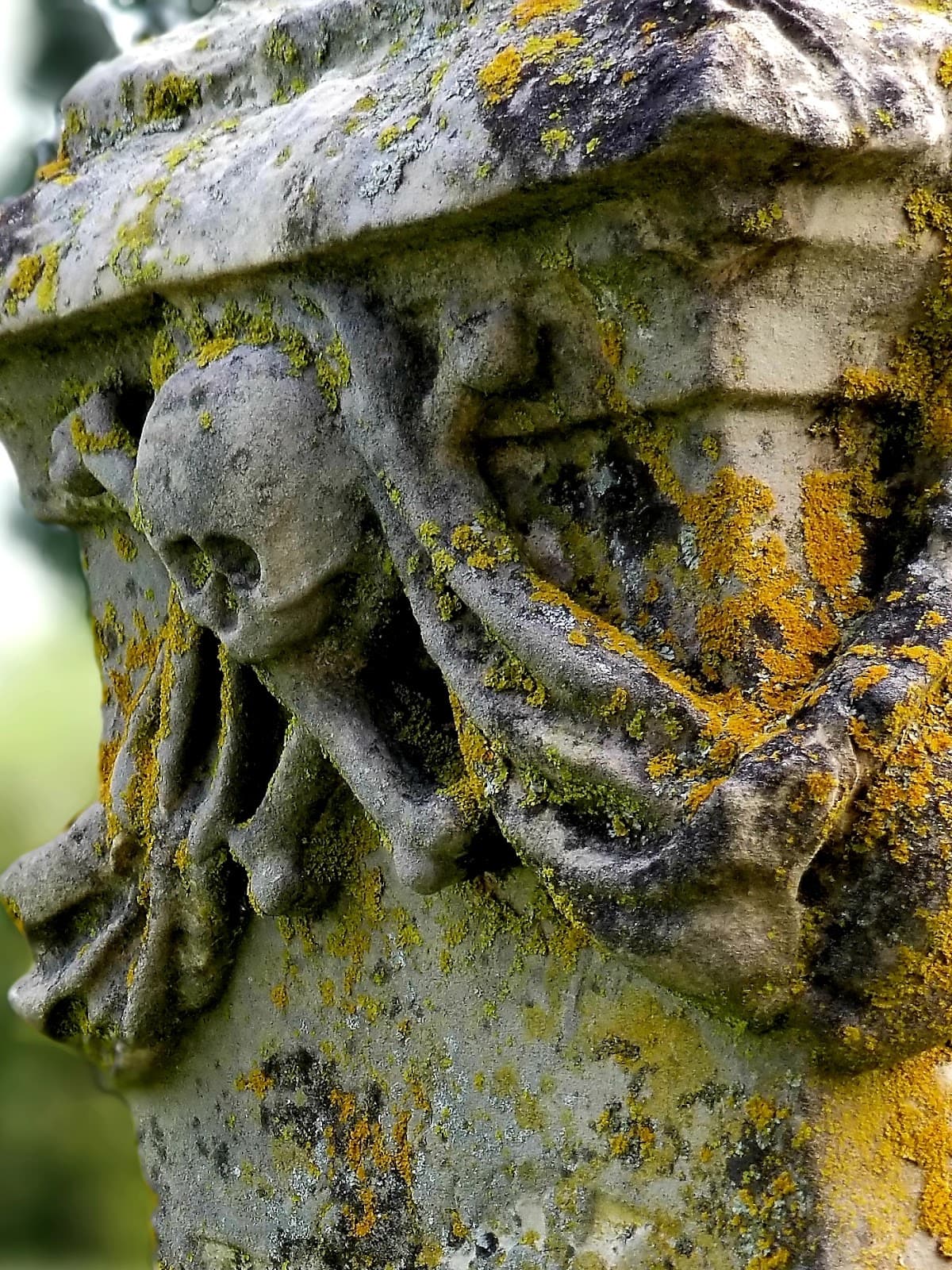 Hermann City Cemetery - Image 1