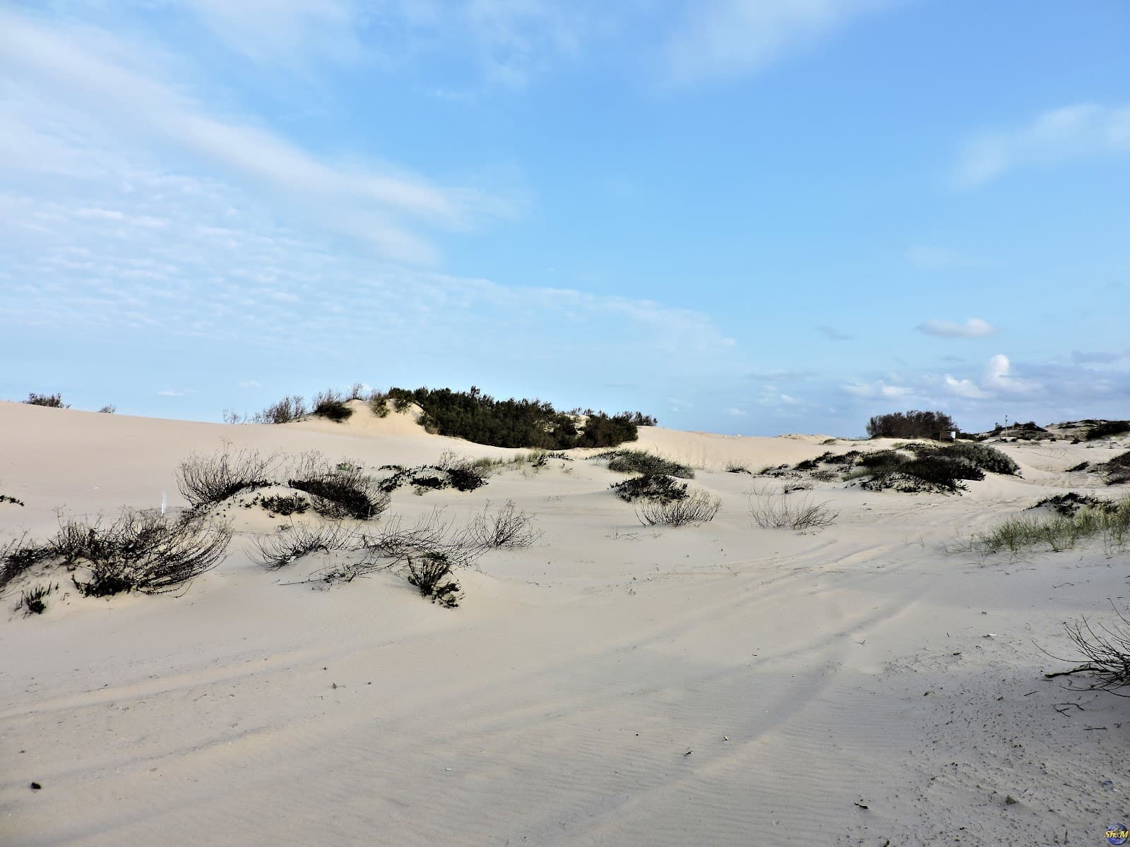 Holon Sand Dunes - Image 1