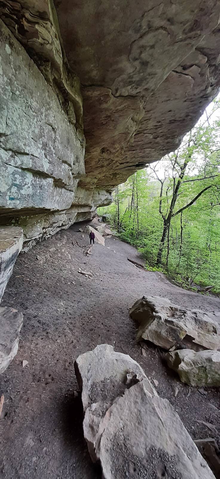 Scenic Overlook Views