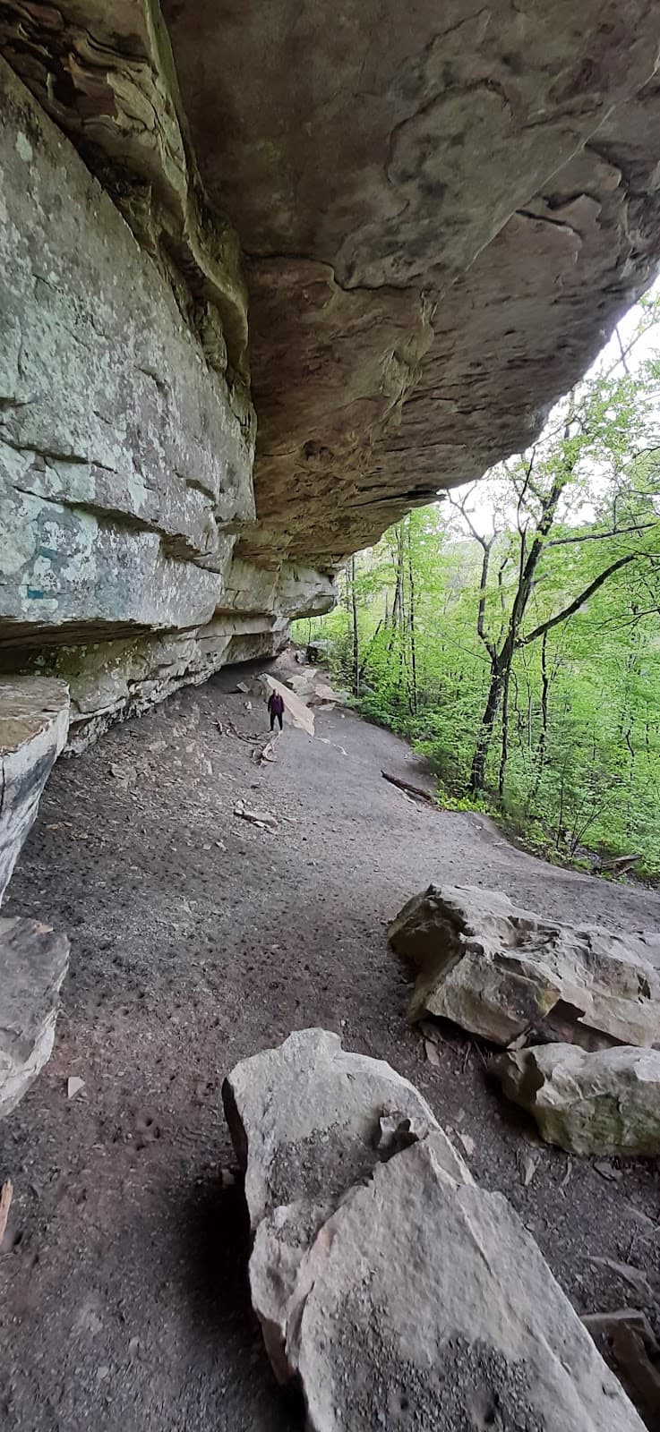 Devil’s Breakfast Table Overlook - Image 1