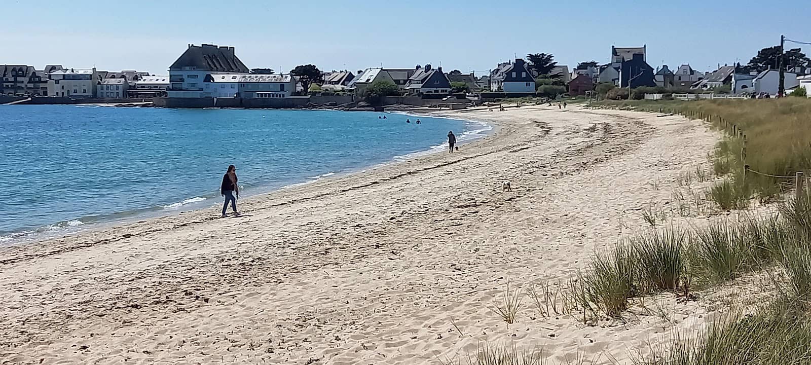 Paddleboarding Adventures