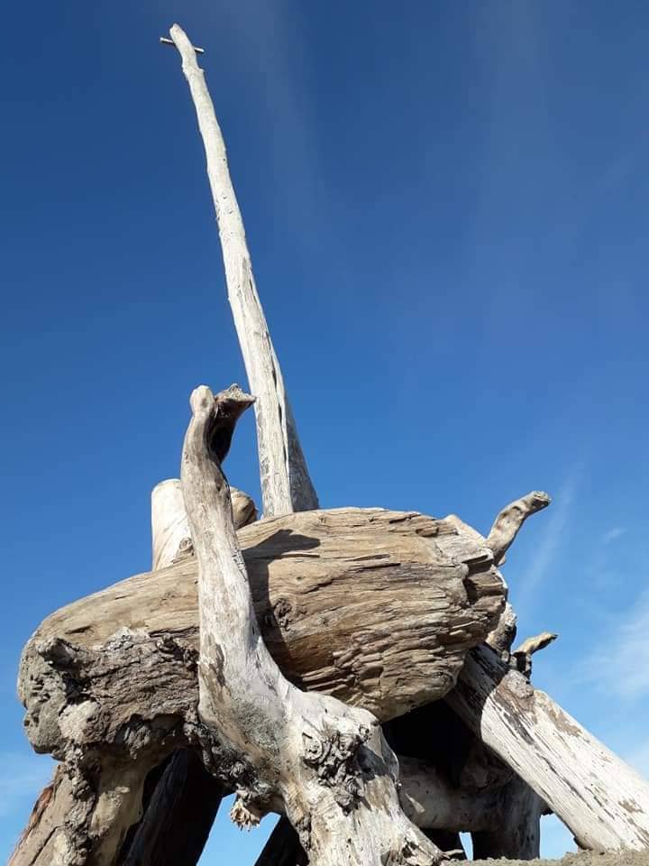 Vertical photo