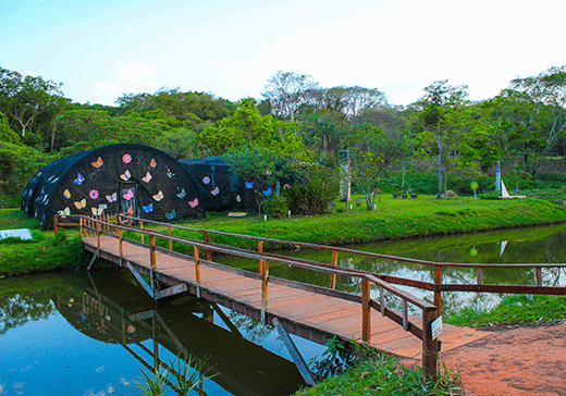 Jardim Botânico Goiânia - Image 1