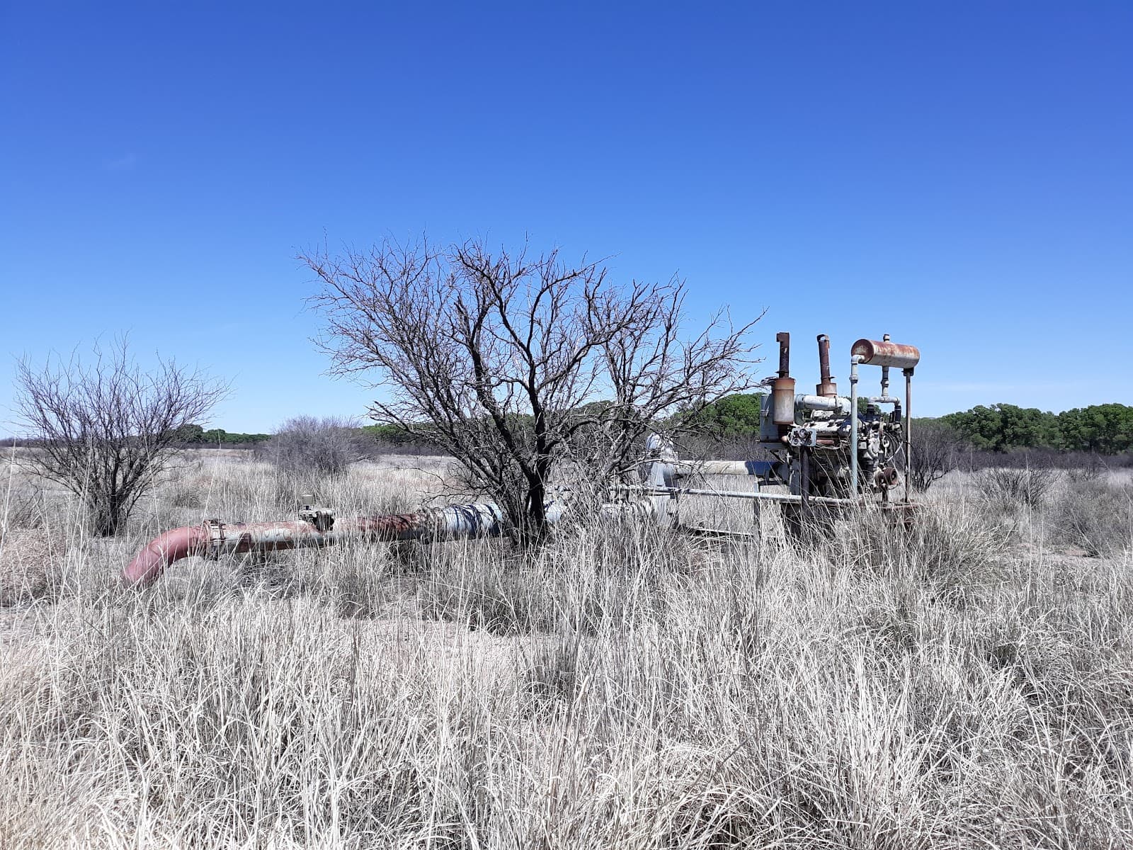 San Pedro Riparian NCA (St. David) - Image 1