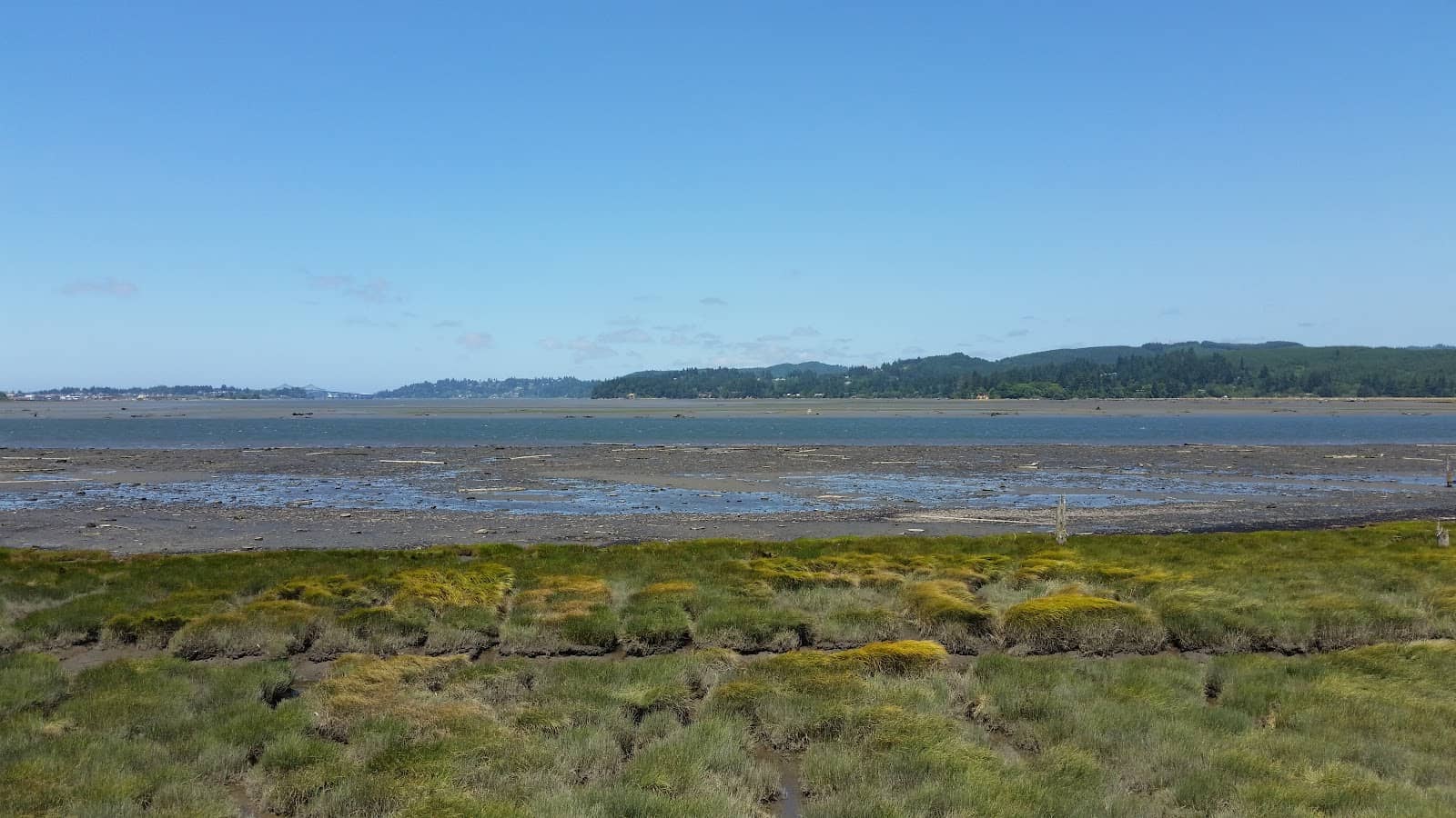 Family-Friendly Strolls